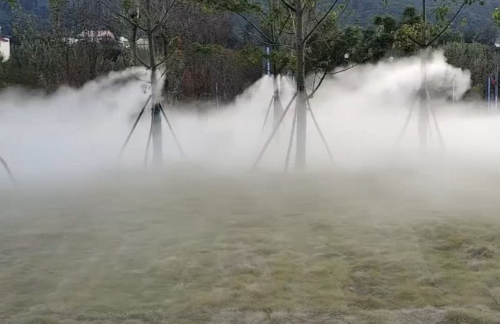树林雾森效果图一