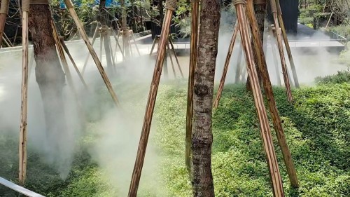 庭院冷雾细节图